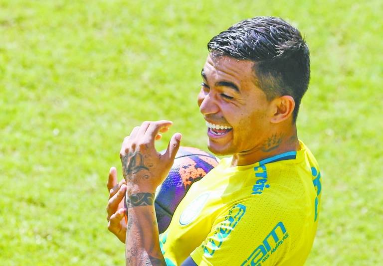 Dudu vê Palmeiras com condição  de repetir desempenho de 2016