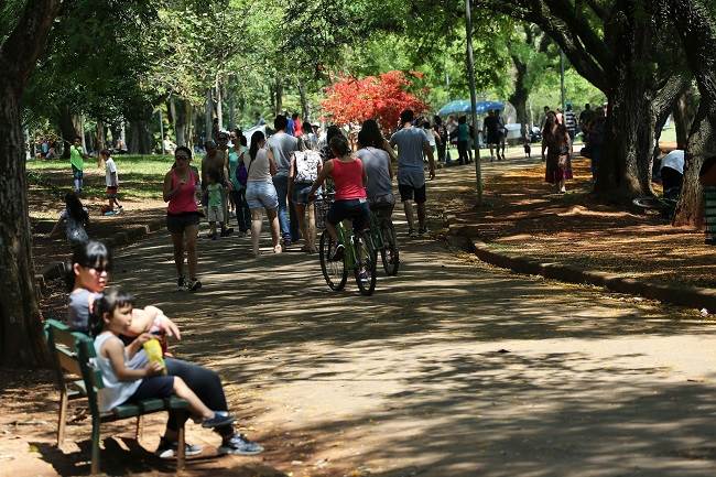 Movimentação no Parque do Ibirapuera