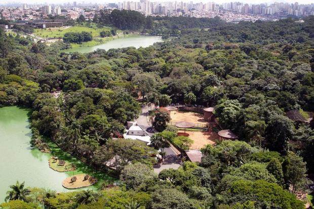 Aproveite o fim de semana para conhecer o Zoo de São Paulo