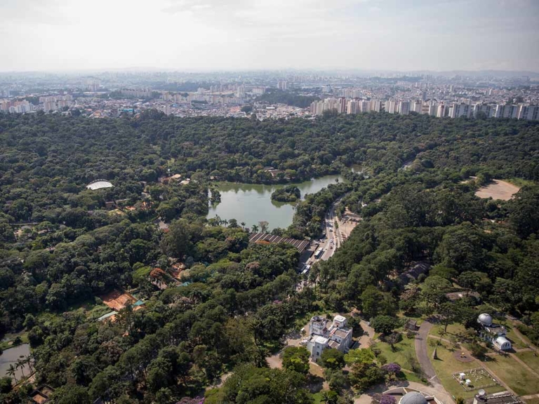 Privatização do Zoológico de São Paulo será decidida na Justiça