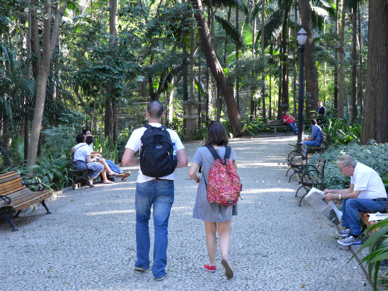Projeto prevê fim das palmeiras exóticas no Parque Trianon