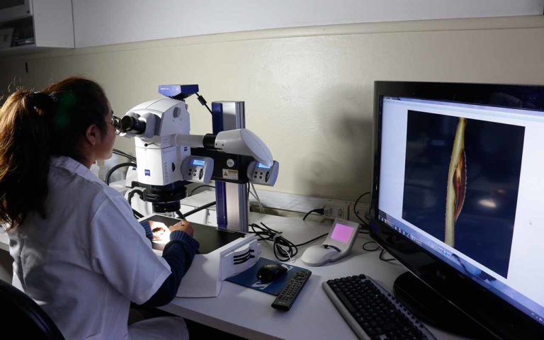 USP vai mapear variações genéticas e doenças da população brasileira