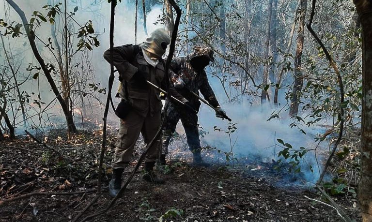 Incêndios queimaram 30% de área do Pantanal em 2020, mostra estudo