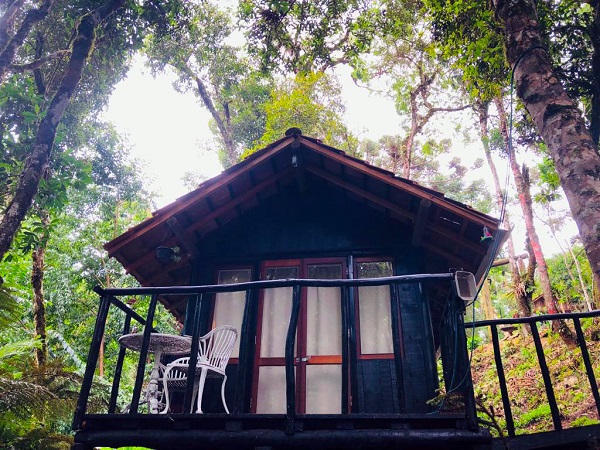 Uma cabana em meio à natureza para relaxar no frescor de Campos do Jordão 